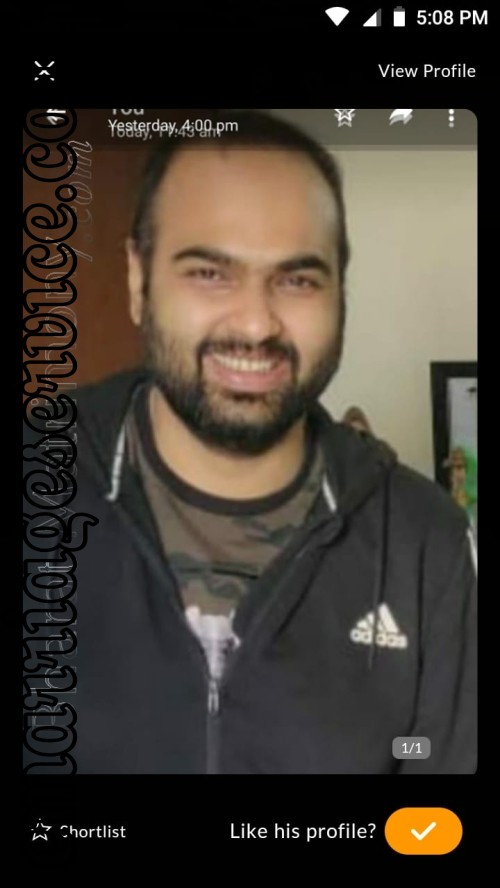 Profile Image